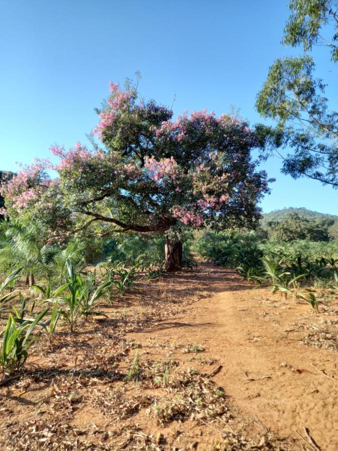 Chale Veredas E Buritis Pirenópolis Buitenkant foto