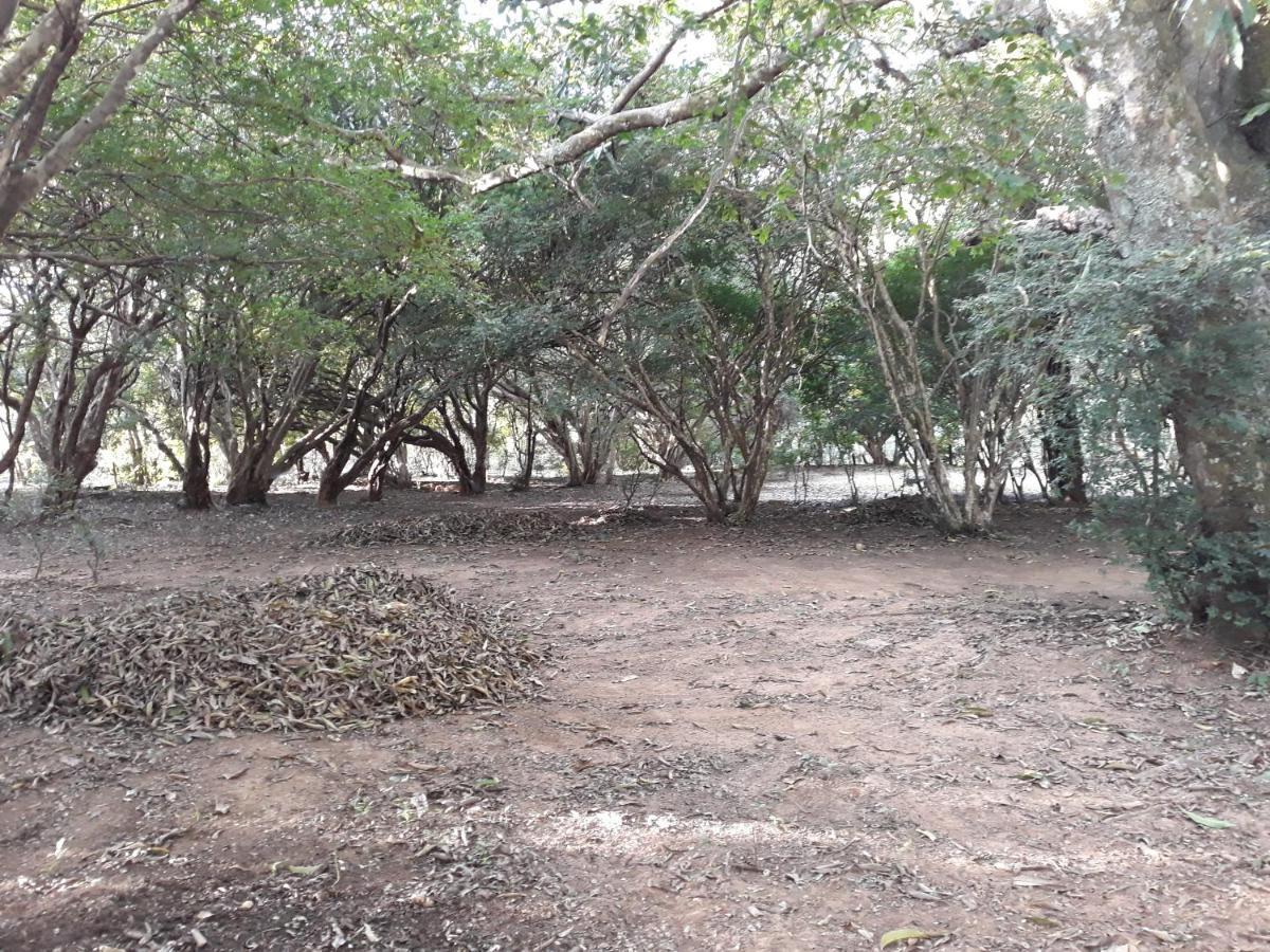 Chale Veredas E Buritis Pirenópolis Buitenkant foto