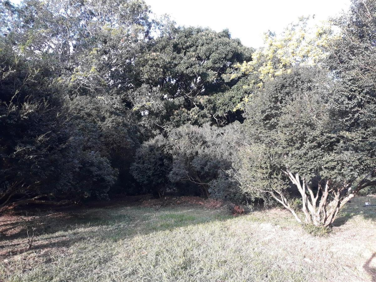 Chale Veredas E Buritis Pirenópolis Buitenkant foto